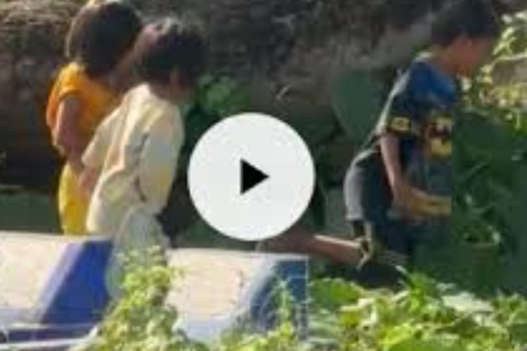 Video Mesum Bocil di Kuburan Viral TikTok Hingga Twitter, Bocah Sesat! Langsung Kabur Saat Ketahuan