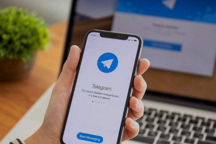Link Grup Telegram Video Viral Terbaru 2024, Kumpulan Update Video Pemersatu Bangsa No Sensor!