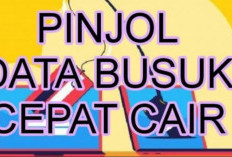 �15+ Pinjol Ilegal Pakai Data Busuk Tanpa Verifikasi Terbaru 2024, Langsung Cair Bisa Dapat Limit Besar!