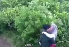 Geger! Link Video Baju Kuning di Kebun Viral Tiktok Twitter Durasi Full No Sensor, Dunia Seakan Milik Berdua!