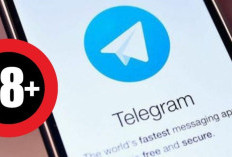 30+ Link Grup Telegram Video Museum Viral Tebaru 2024, Banyak Koleksinya dari Berbagai Model!