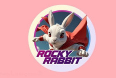 Airdrop Rocky Rabbit Gacor Asli Atau Scam Belaka? Hati-hati ! Cek Cara Agar Tidak Masuk Jebakan Batman!