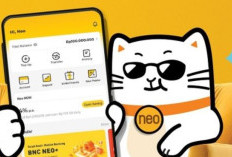 Viral NeoBank Aman atau Tidak Untuk Transaksi Keuangan? Begini Review dan Testimoni Penggunanya 