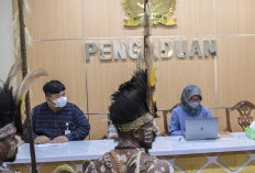 PT Indo Asiana Lestari Milik Siapa dan Penyebab Suku Awyu Melakukan Demo, Viral All Eyes On Papua!