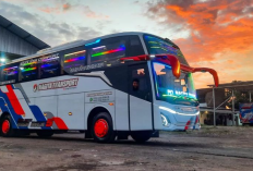 PO Nagita Transport : Profil Perusahaan, Informasi Kontak, dan Layanan Bus Pariwisata