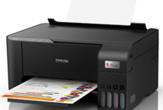 Link Download Resetter Epson L3210 Terbaru 2024 Gratis & Tanpa Password, Dilengkapi Cara Pemasangannya