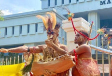 PT Indo Asiana Lestari Babat 36 Ribu Hektar Lahan Hutan Papua Viral! Aktivis Desak Cabut Izin Usaha