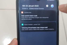 Penyebab Data Spasial Sistem Rusak di HP Vivo, Ternyata Salah Satunya Fatal Banget!