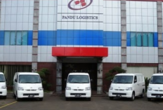 Apakah PT Pandu Jaya Logistics Penipuan? Simak Kebenarannya Agar Tak Salah Pilih Saat Melamar Kerja