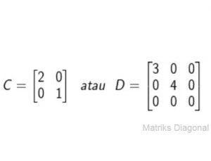 Contoh Matriks Diagonal