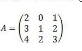 Contoh Soal Matriks 3×3