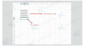 Cara Enter di Excel Dengan ALT + Enter
