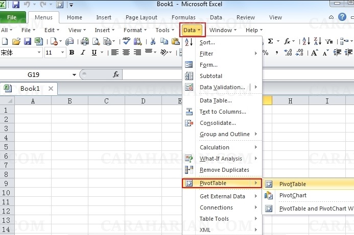Membuka Database Sumber Dari Pivot Table Excel E Auditors Manual
